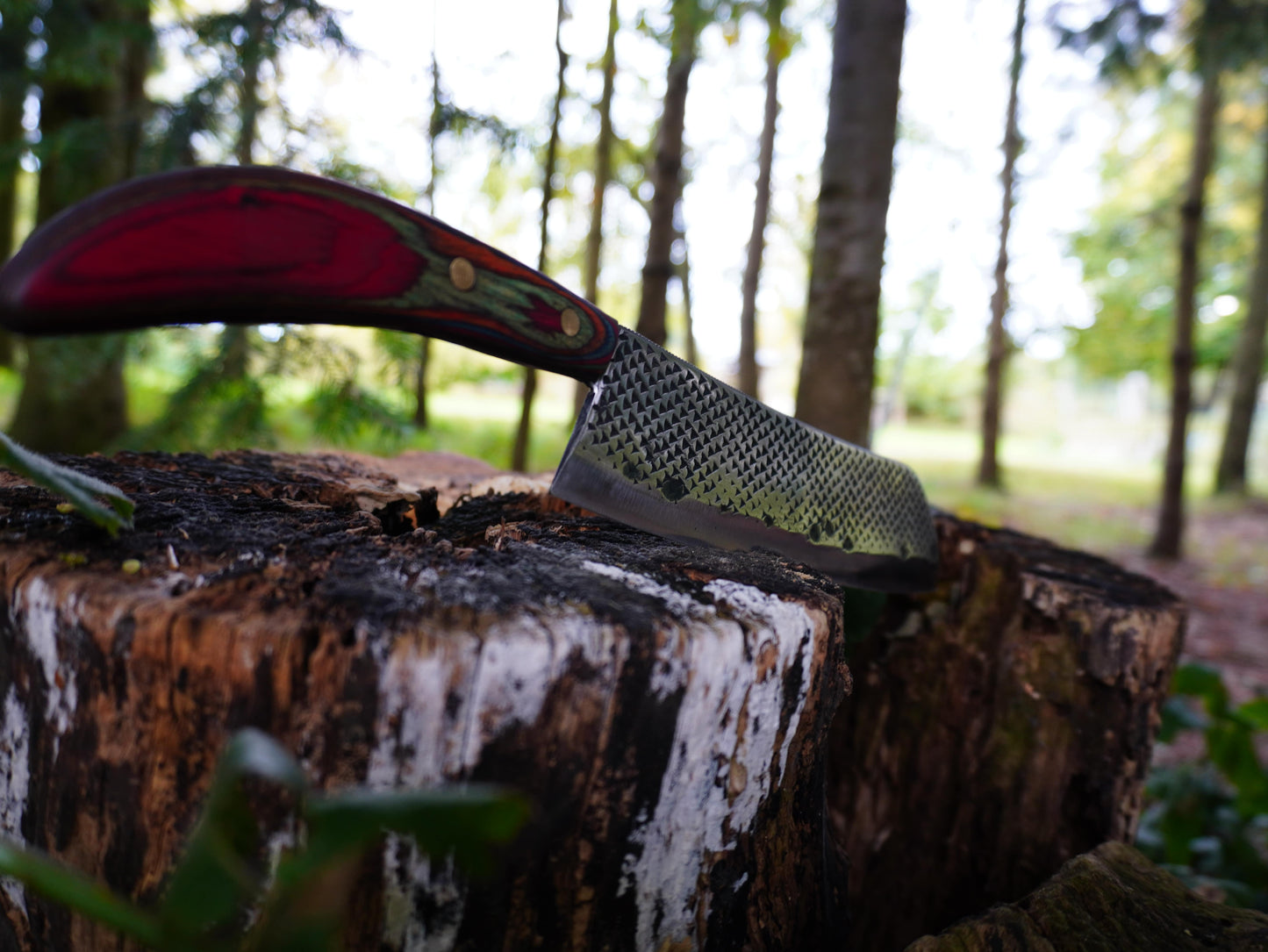 # 01 The Hammer's Mark