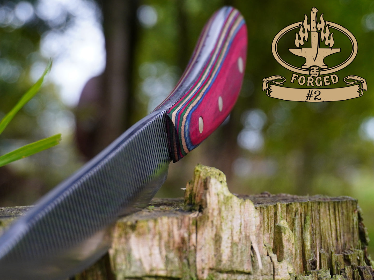 Hand-Forged Rasp Artifacts - Exclusive to TS Homestead Nation