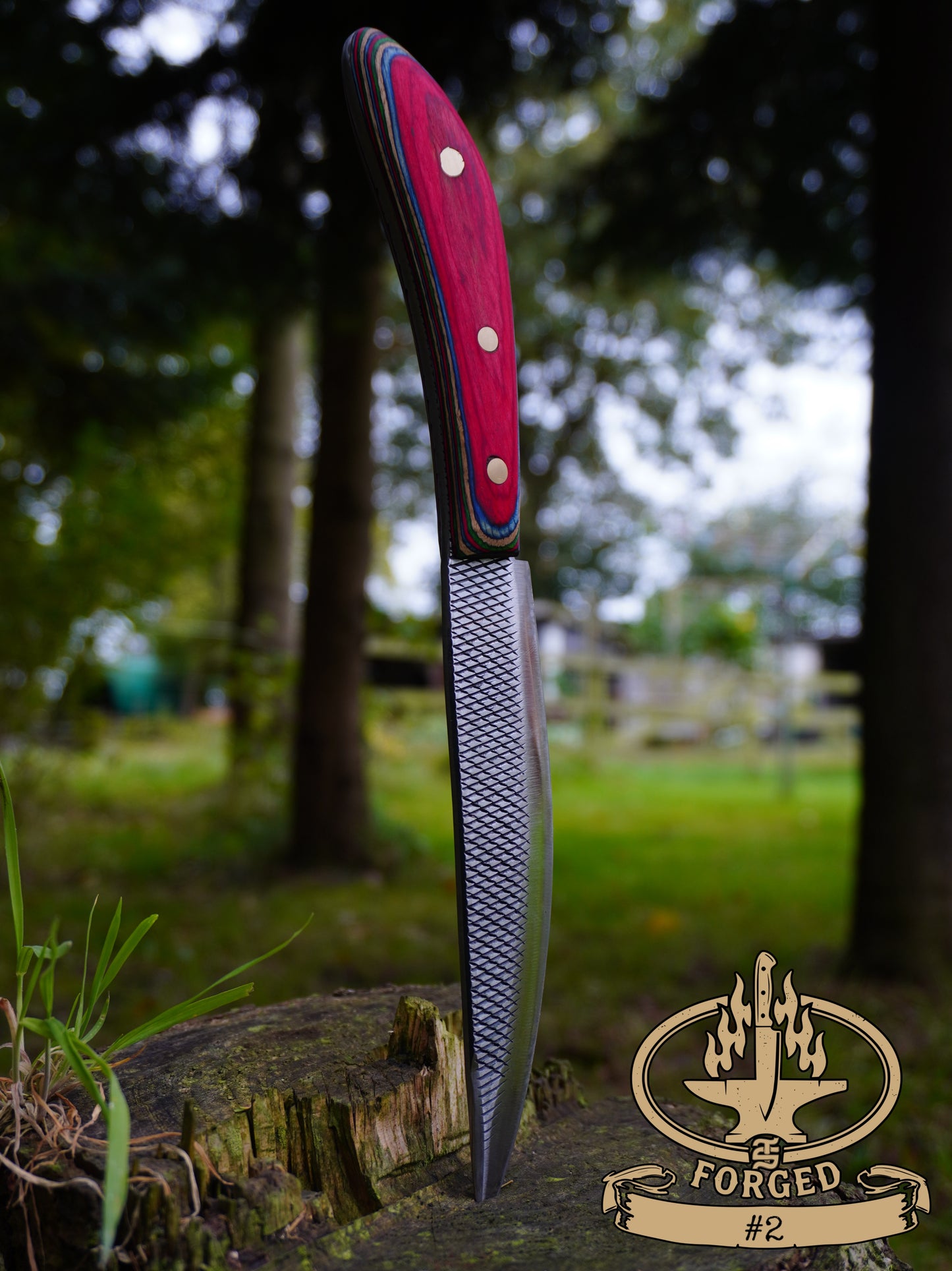 Hand-Forged Rasp Artifacts - Exclusive to TS Homestead Nation
