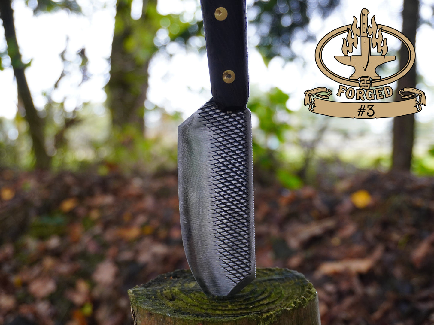 Hand-Forged Rasp Artifacts - Exclusive to TS Homestead Nation