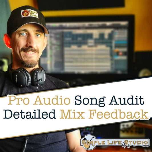 Pro Audio Song Audit | Detailed Mix Feedback