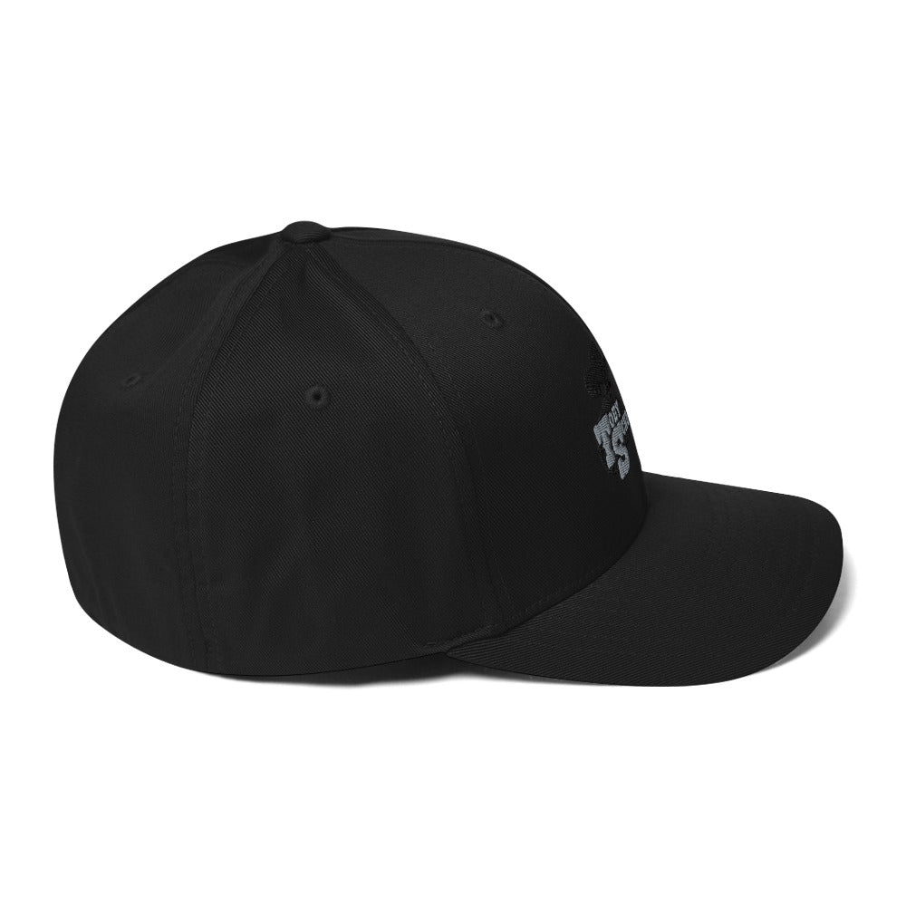 Structured Twill Cap Flexfit TSM 2024