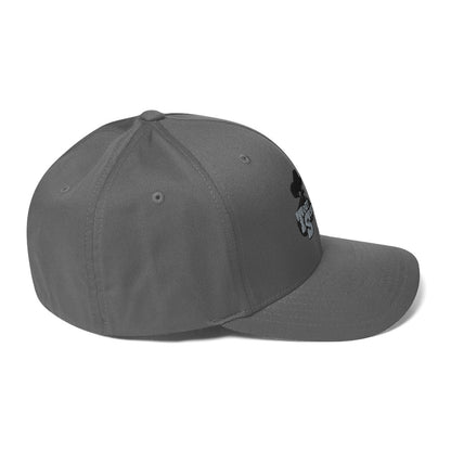 Structured Twill Cap Flexfit TSM 2024