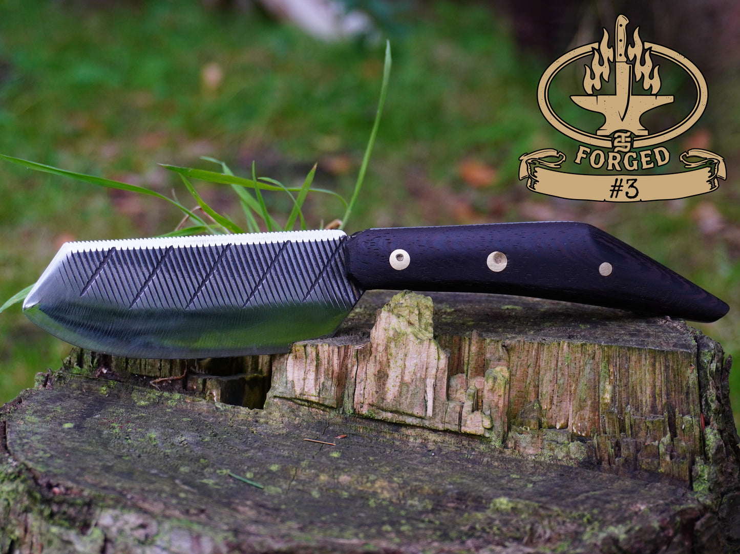 Hand-Forged Rasp Artifacts - Exclusive to TS Homestead Nation
