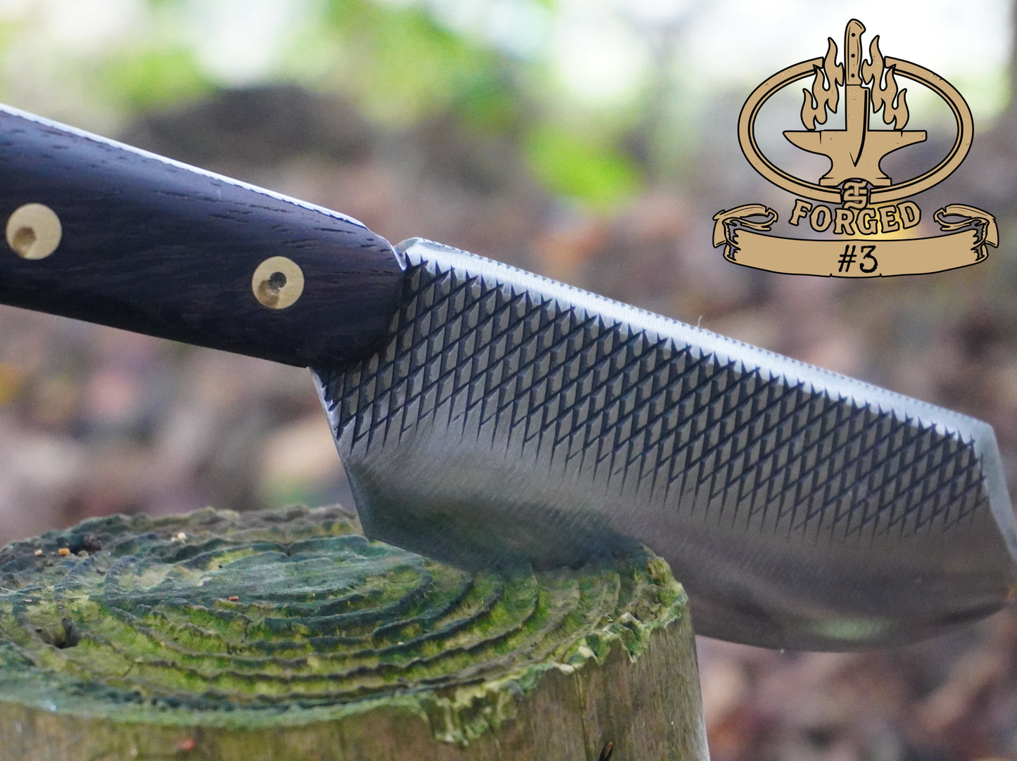 Hand-Forged Rasp Artifacts - Exclusive to TS Homestead Nation