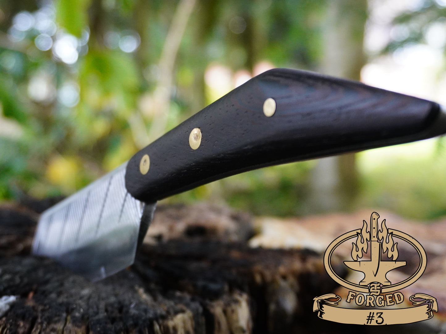 Hand-Forged Rasp Artifacts - Exclusive to TS Homestead Nation